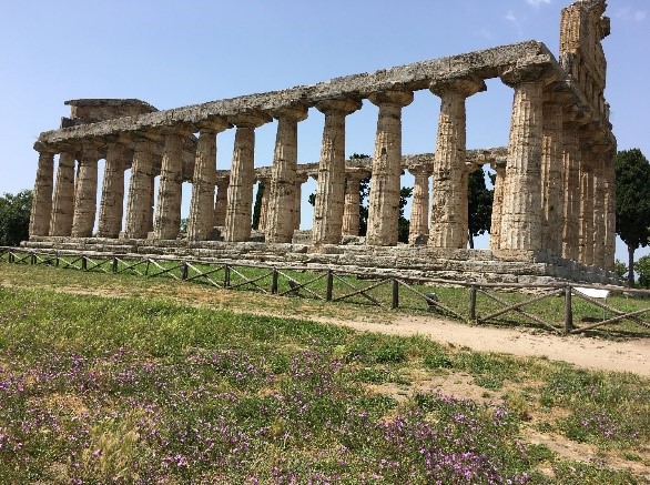 rome ancient ruins purple flowers